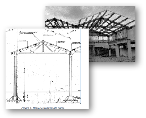 Progettazione strutturale demolizione e ricostruzione capannone industriale